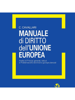 Manuale di diritto dell'Unione Europea. Analisi di principi generali, Istituti e problematiche dottrinali e giurisprudenziali